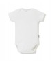 Body basic shortsleeve