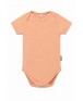 Body basic shortsleeve