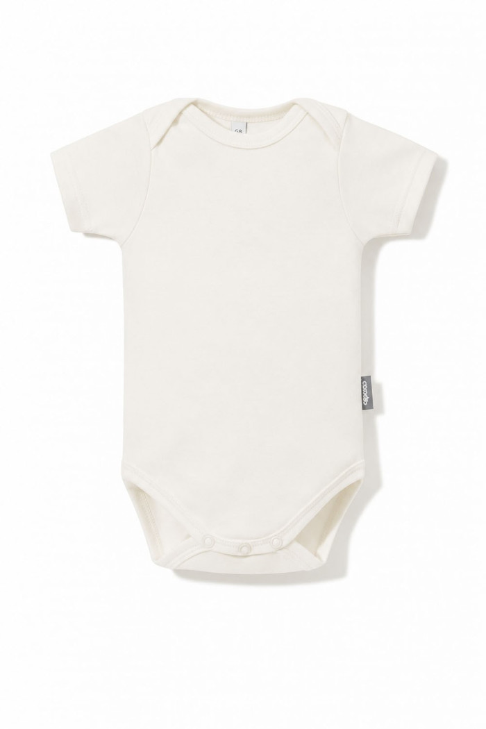 Body basic shortsleeve