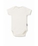 Body basic shortsleeve
