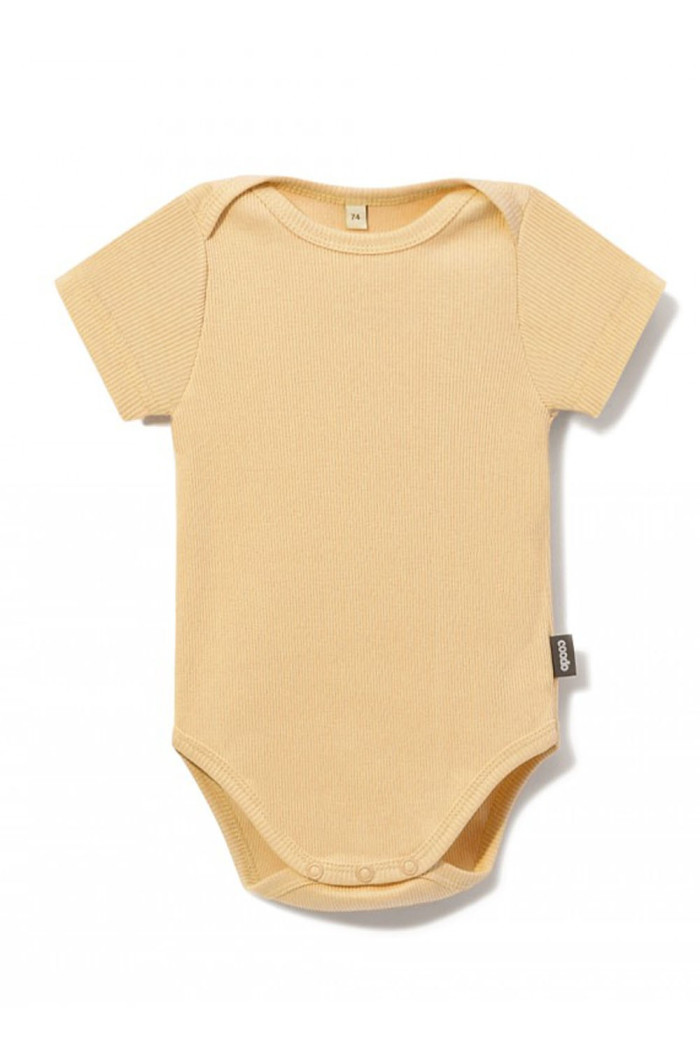 Body basic shortsleeve prążkowane